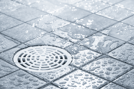 A shower drain with water in a Roanoke, VA home.