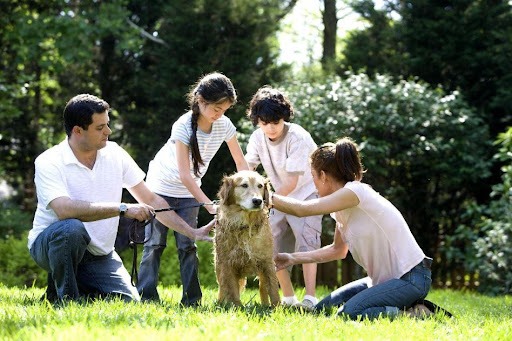 Family of four playing with their dog outdoors.